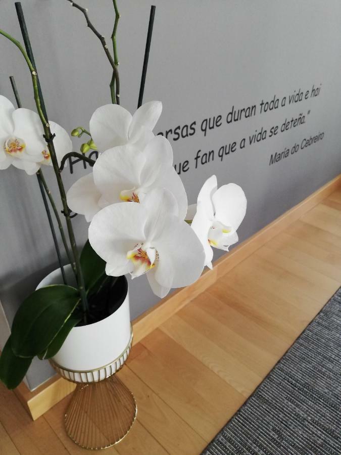 ויאלבה Pension Suites Camino Norte מראה חיצוני תמונה